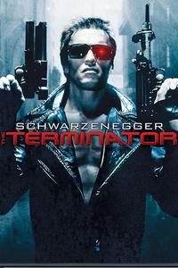 terminator 1 in hindi 480p 720p