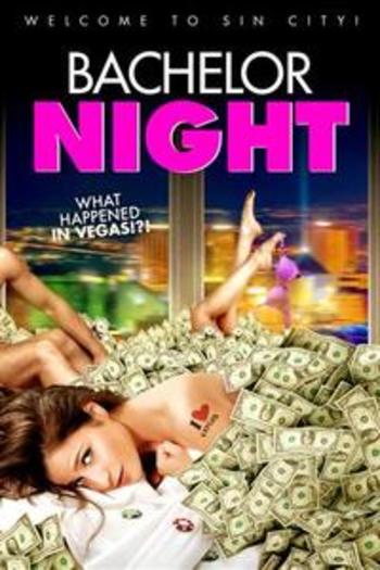 Bachelor Night movie dual audio download 480p 720p