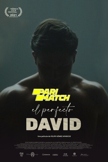 The Perfect David movie dual audio download 720p