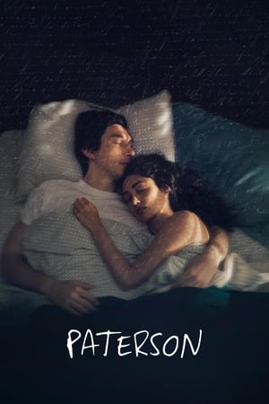 Paterson movie english audio download 480p 720p 1080p