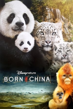 Born in China movie english audio download 480p 720p 1080p