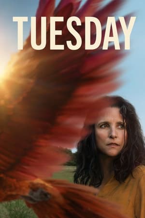 Tuesday movie english audio download 480p 720p 1080p