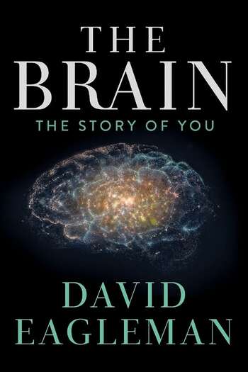 The Brain with David Eagleman season 1 english audio download 720p