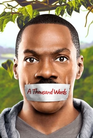 A Thousand Words movie dual audio download 480p 720p 1080p