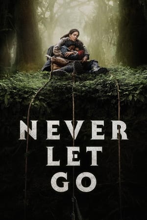 Never Let Go movie english audio download 480p 720p 1080p