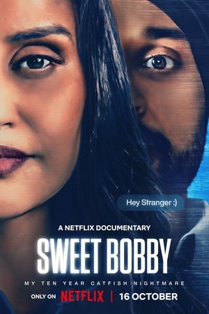 Sweet Bobby My Catfish Nightmare movie dual audio download 480p 720p 1080p