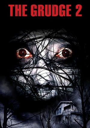 The Grudge 2 movie dual audio download 480p 720p 1080p