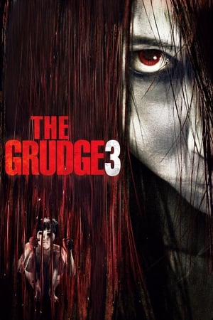 The Grudge 3 movie dual audio download 480p 720p 1080p