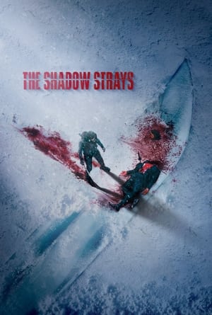 The Shadow Strays movie dual audio download 480p 720p 1080p