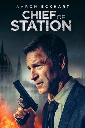 Chief of Station movie dual audio download 480p 720p 1080p